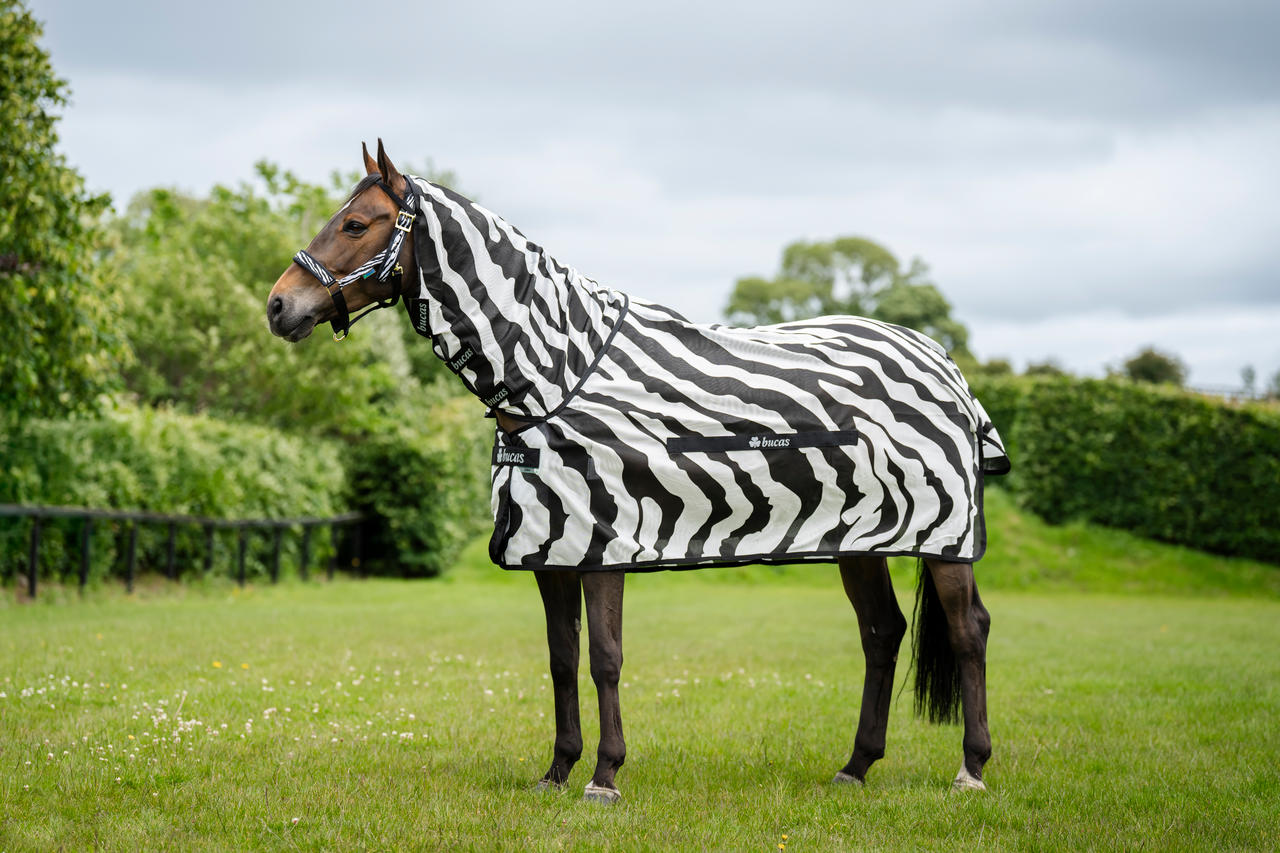 Bucas Buzz-Off Zebra Full Neck