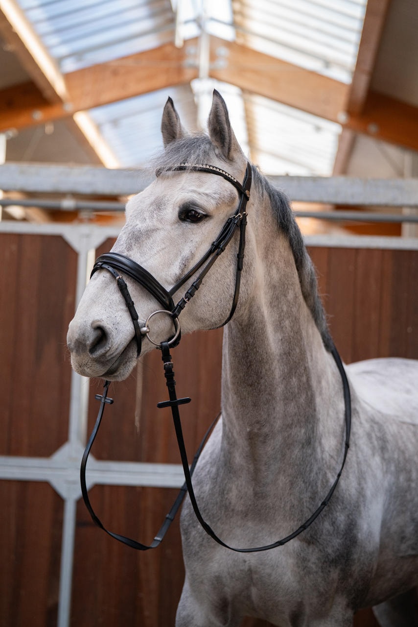 Hans Melzer Snaffle Valluhn, inglese combinato