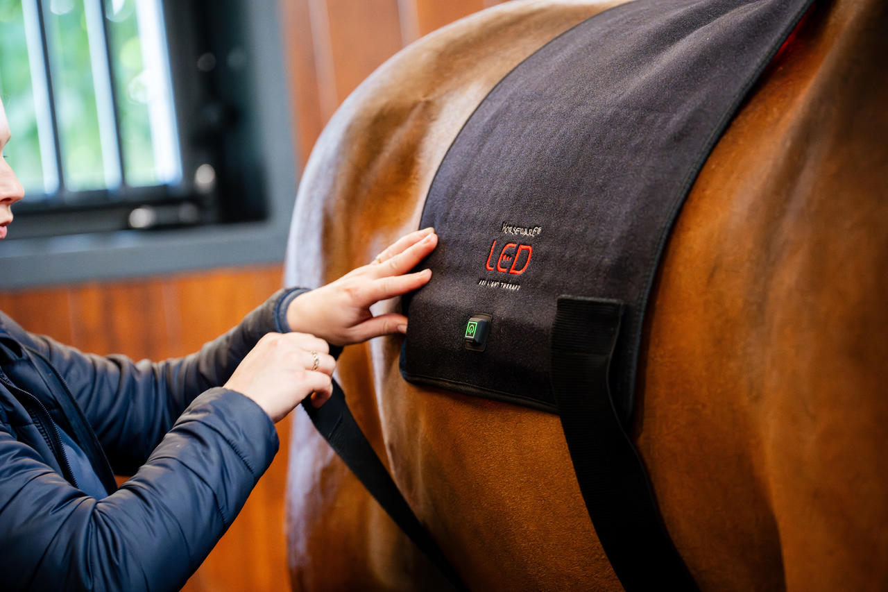 Horseware Cuscinetto per terapia a luce rossa LED