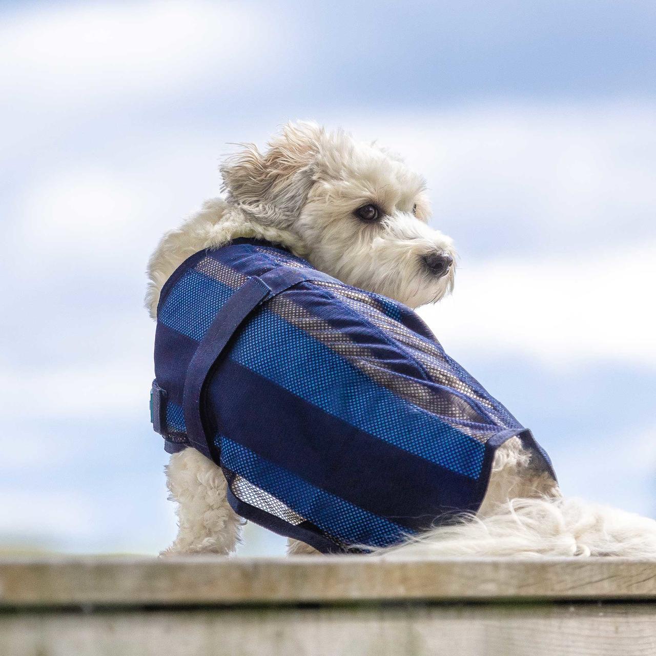 Cool on Track Cooling Hundemantel 2.0