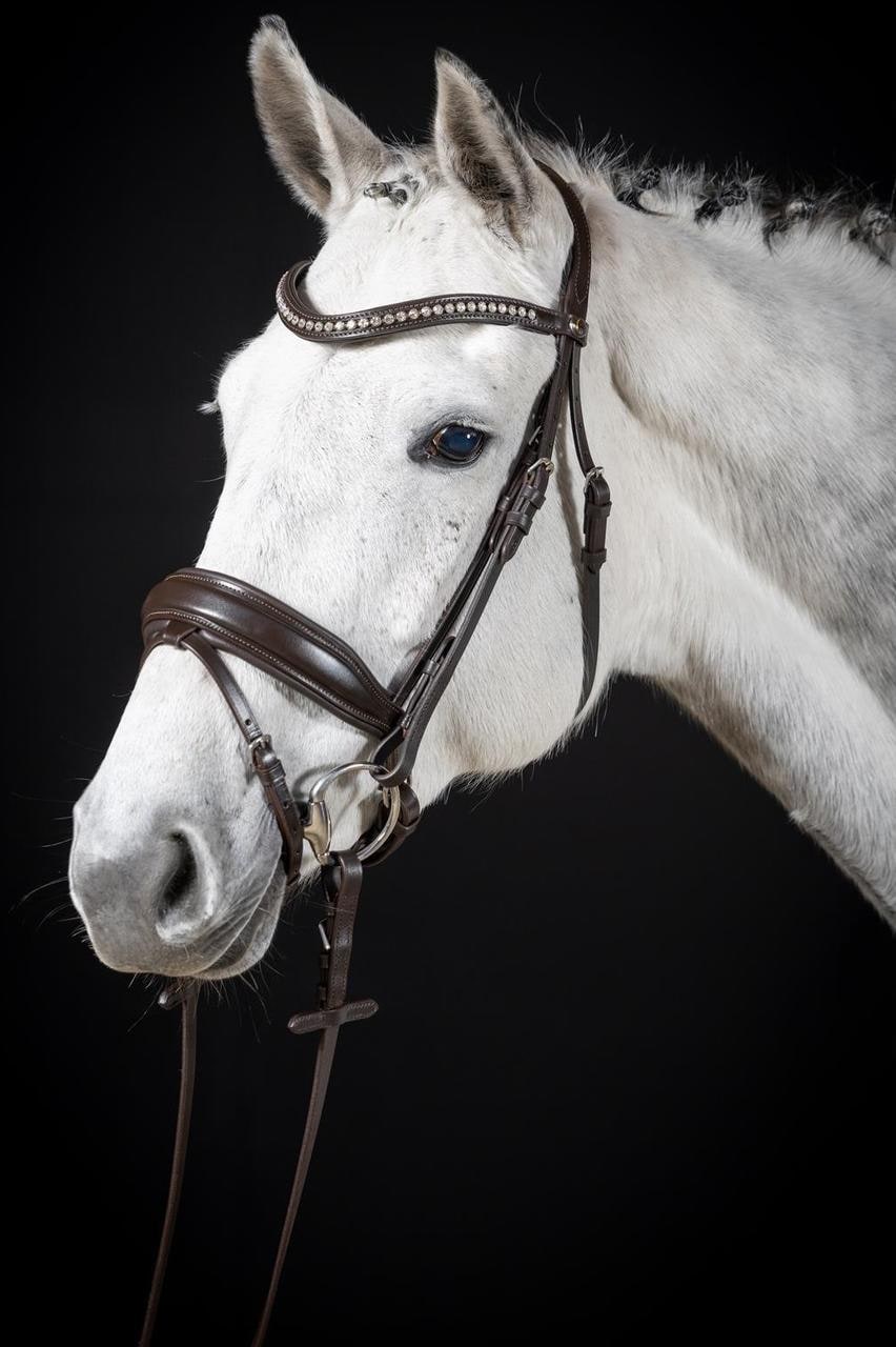 Hans Melzer Snaffle Wiesbaden Comfort Pettine svedese.