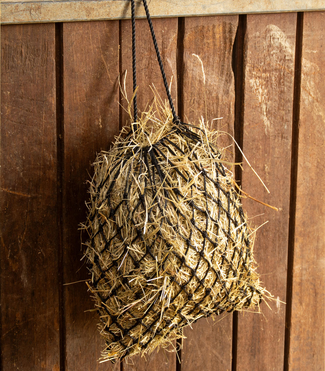Waldhausen Shetty hay net SlowFeed