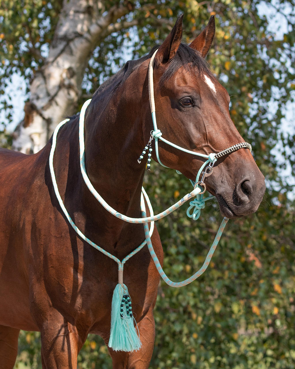 QHP Knotenhalfter Set Liberty