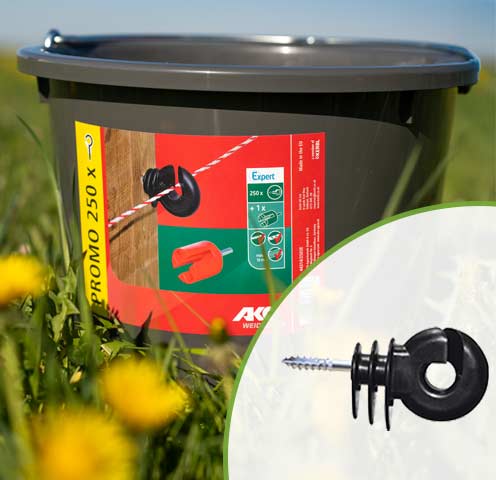 Startseite_ProduktderWoche_(7)