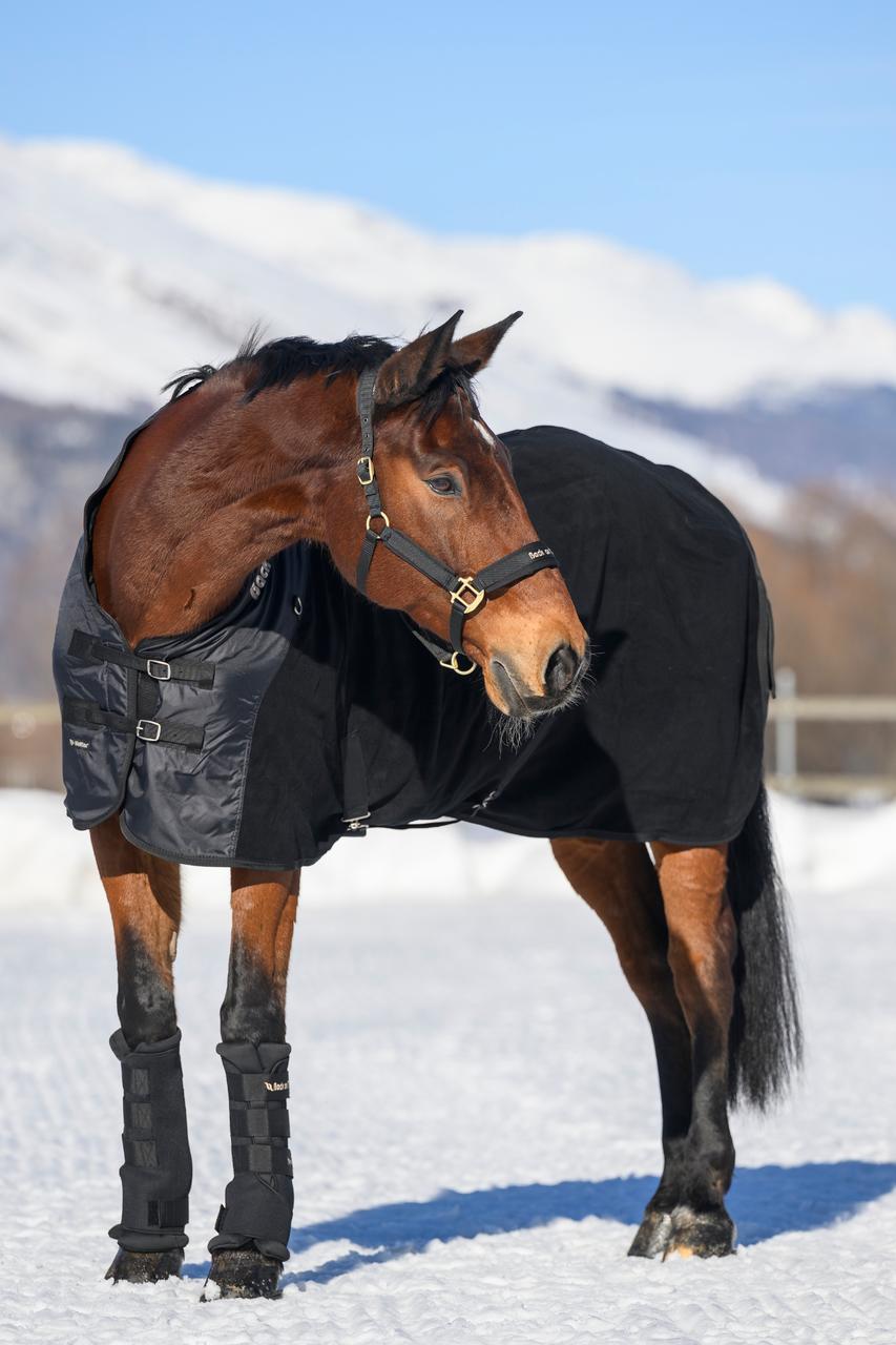Back on Track Stallgamaschen Royal