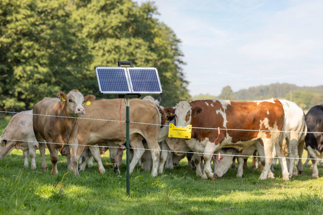 AKO Sun Power S 3000 Weidezaun-Solargerät