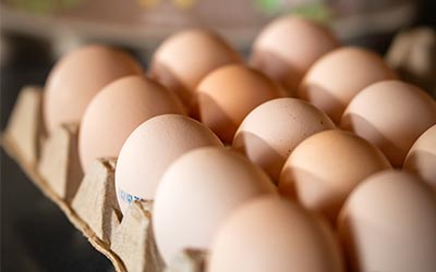 mobil_Direktvermarktung