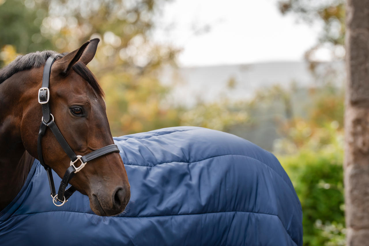 Horseware Sous-couverture Liner 50g