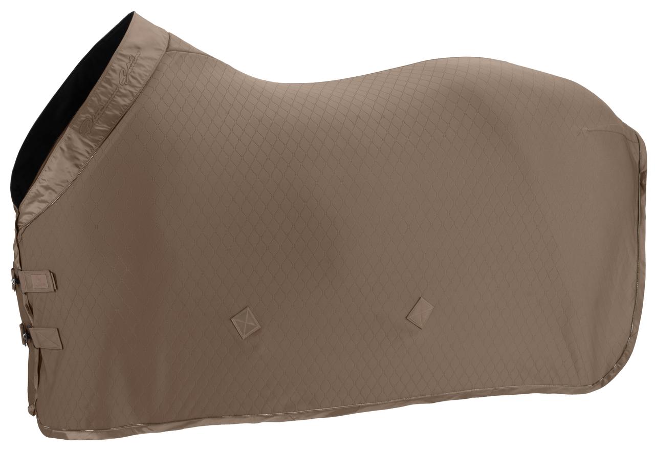 Eskadron Abschwitzdecke AERIAL JERSEY