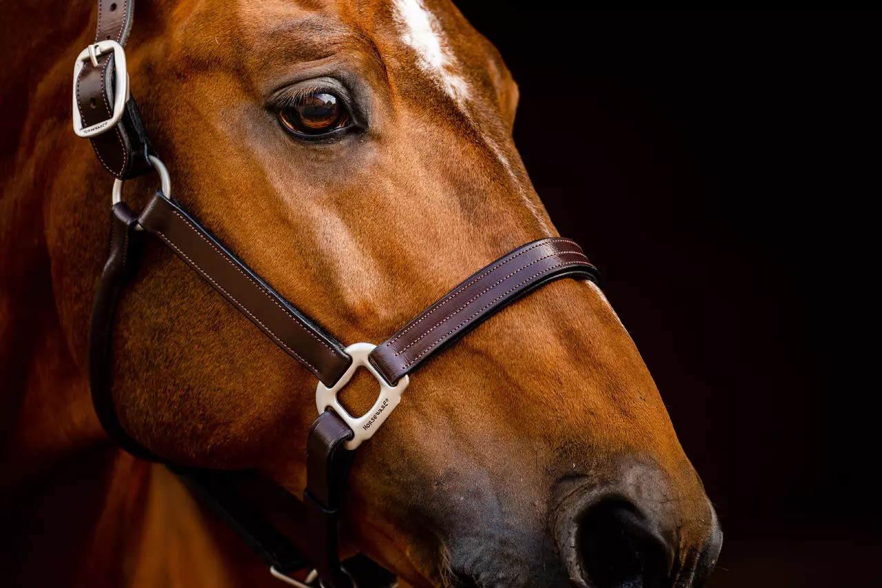 Horseware Signature Leather Headcollar
