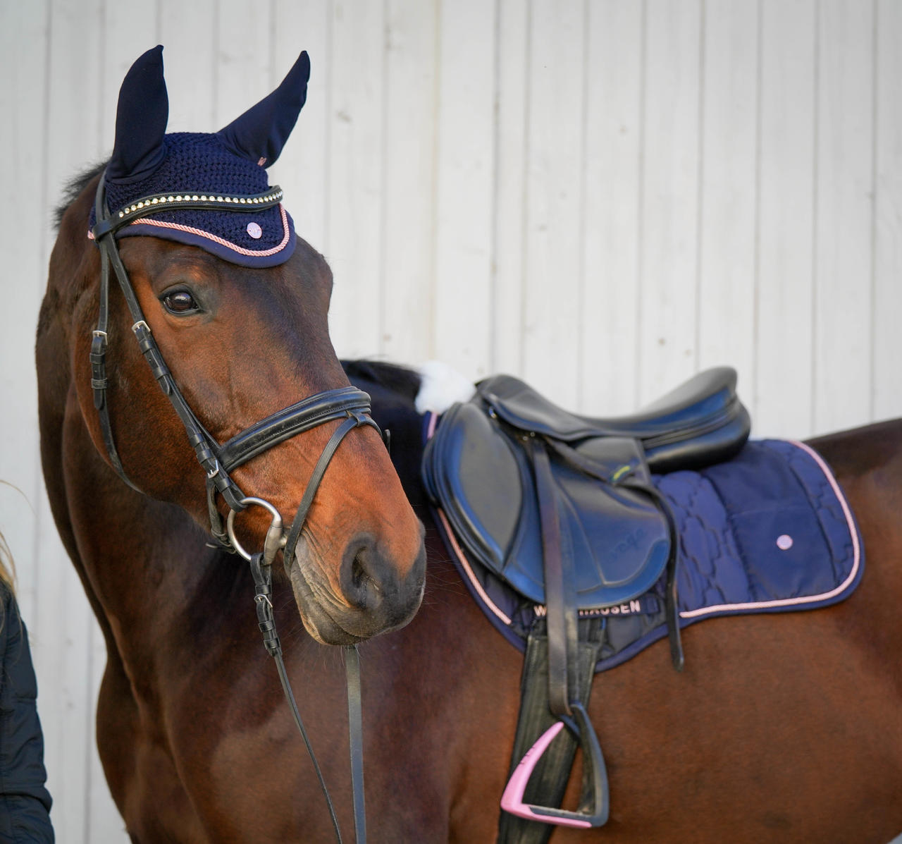 Waldhausen Saddle Pad Modern Rosé