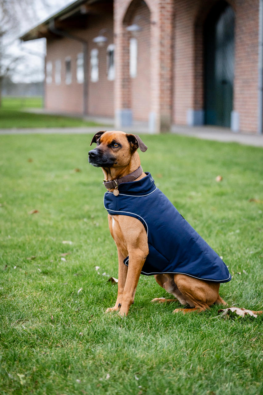 Horseware Signature Dog Rain Coat 100g