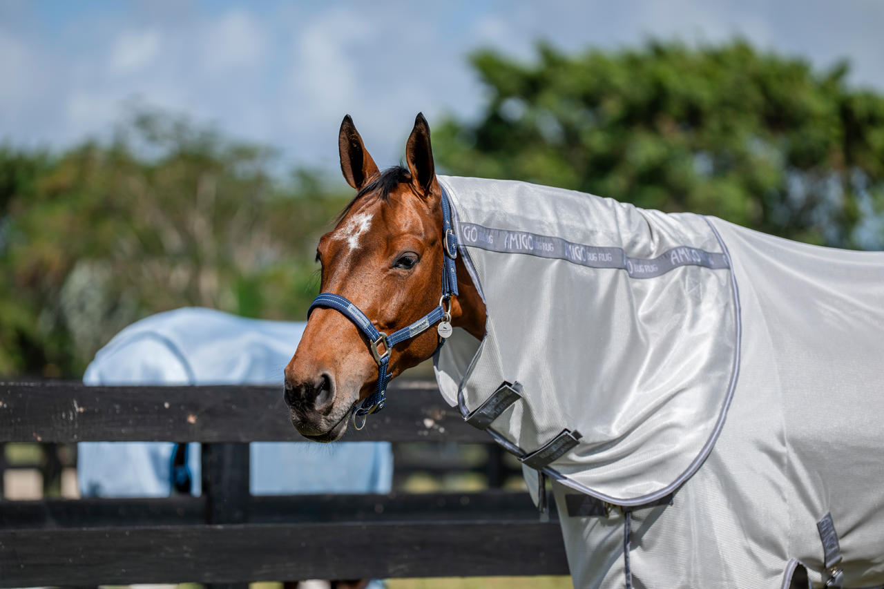 Horseware Coperta anti-mosche Amigo Bug Rug XL Plus