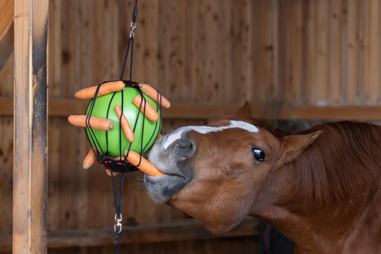 Kerbl Therapie-Spielball für Pferde