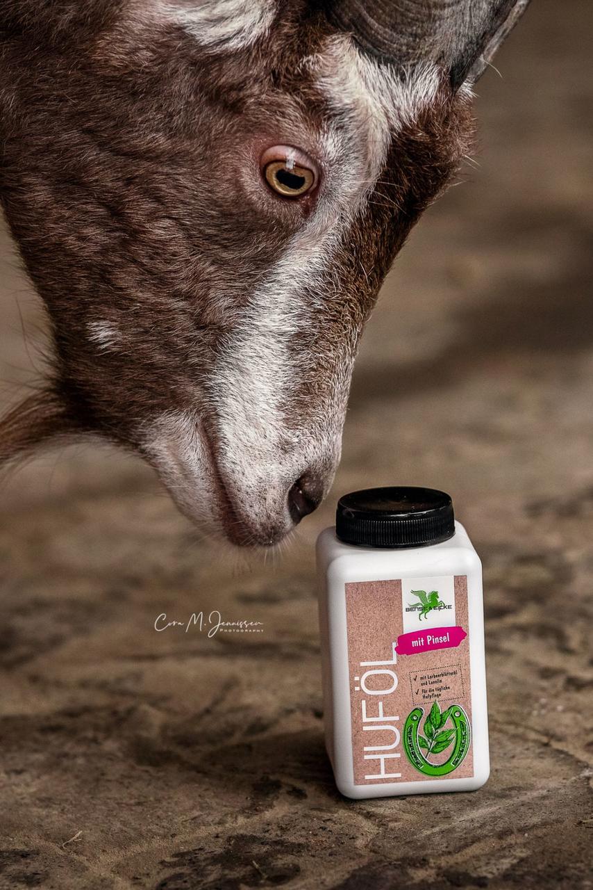 Bense & Eicke Olio per zoccoli Bense & Eicke - vari formati