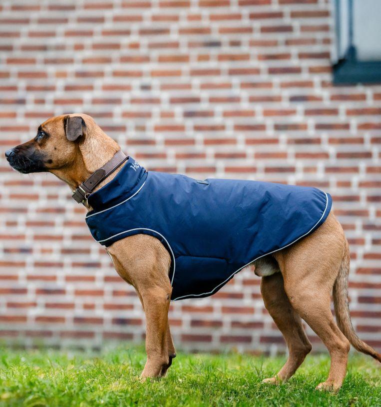 Horseware Signature Dog Rain Coat 100g