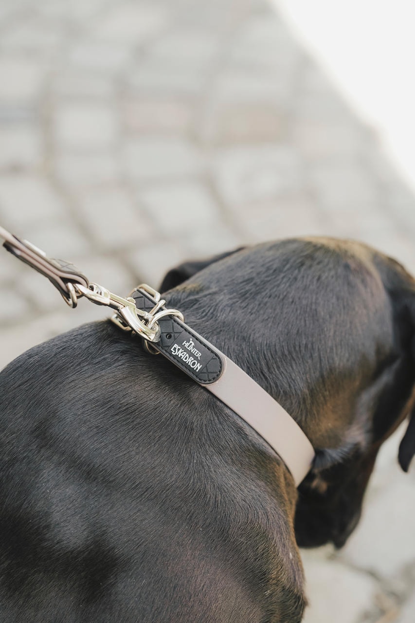 Eskadron Hundehalsband SPARK
