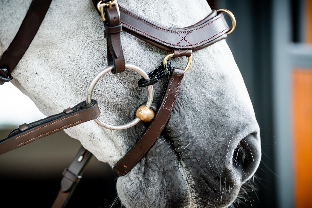 Horseware Briglia multiuso Micklem 2