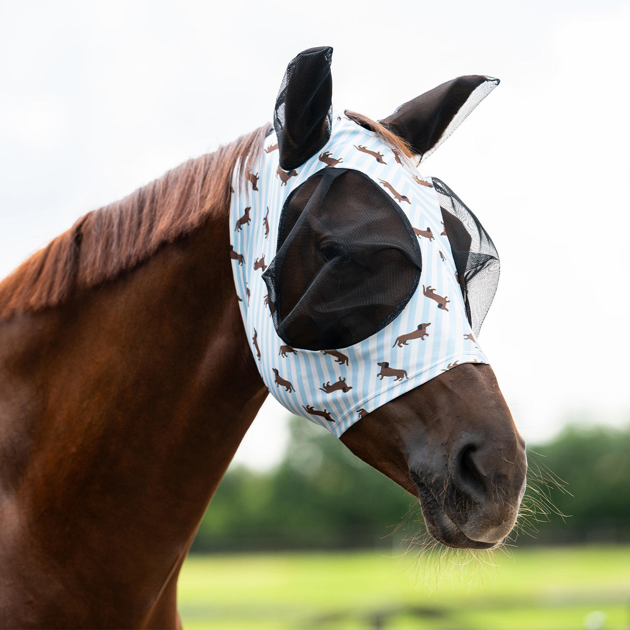 QHP Fliegenschutzmaske Stable Buddy