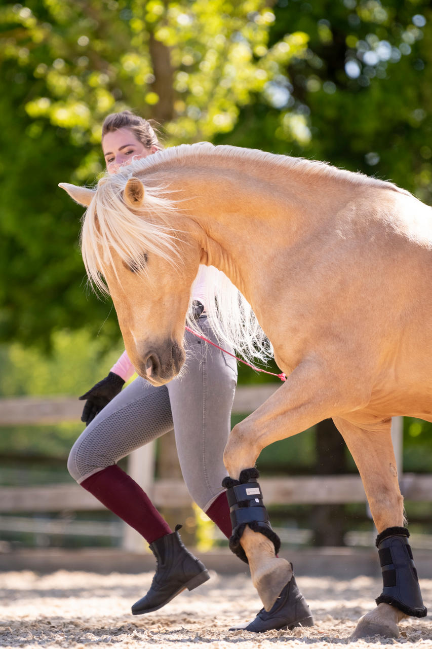 Waldhausen Stinchiere da dressage morbidi
