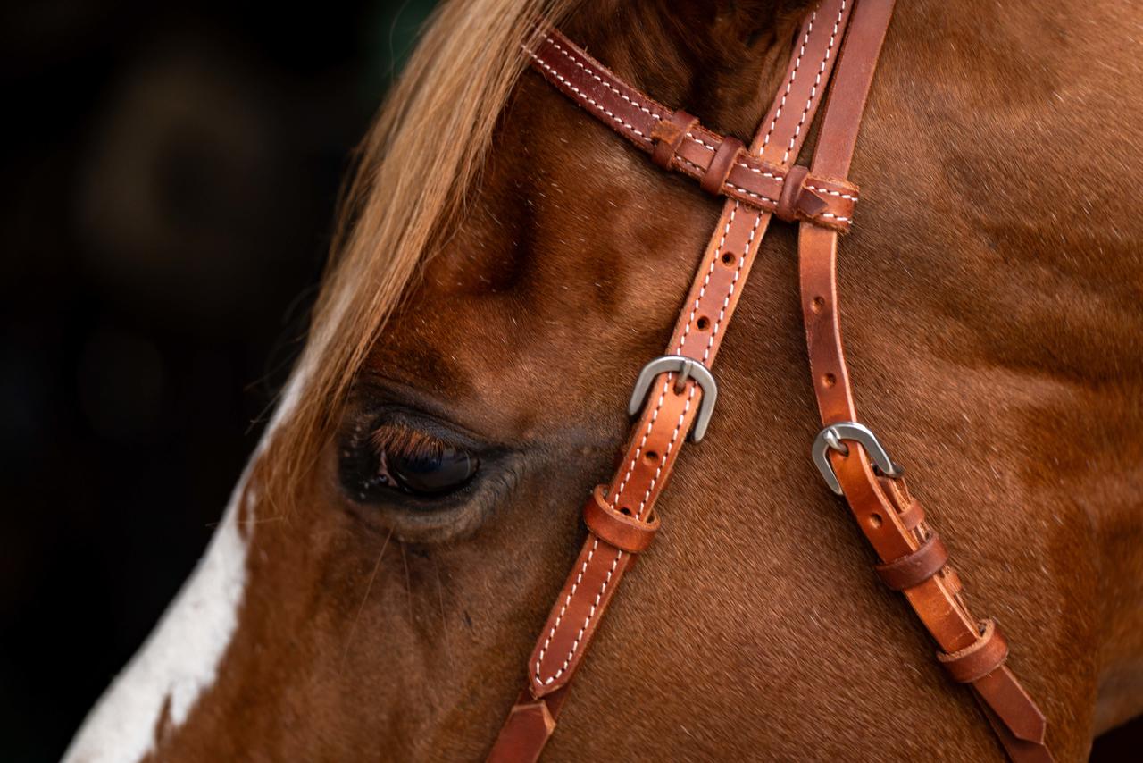 Roping Kopfstück aus Harness-Leder