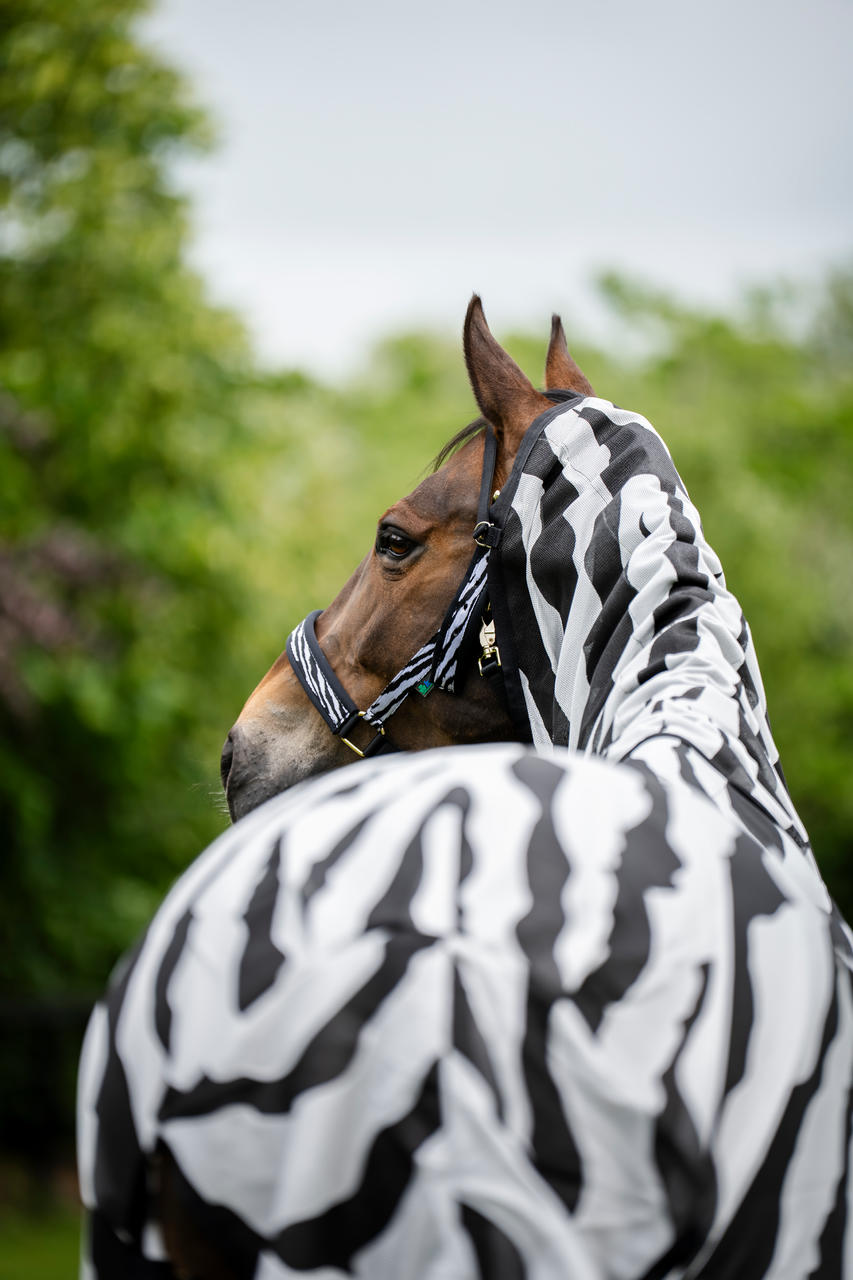 Bucas Buzz-Off Zebra Full Neck