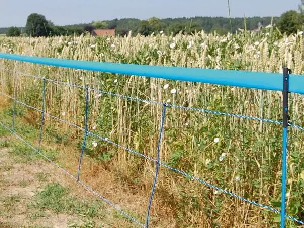 AKO WildNet, 75 cm hoch
