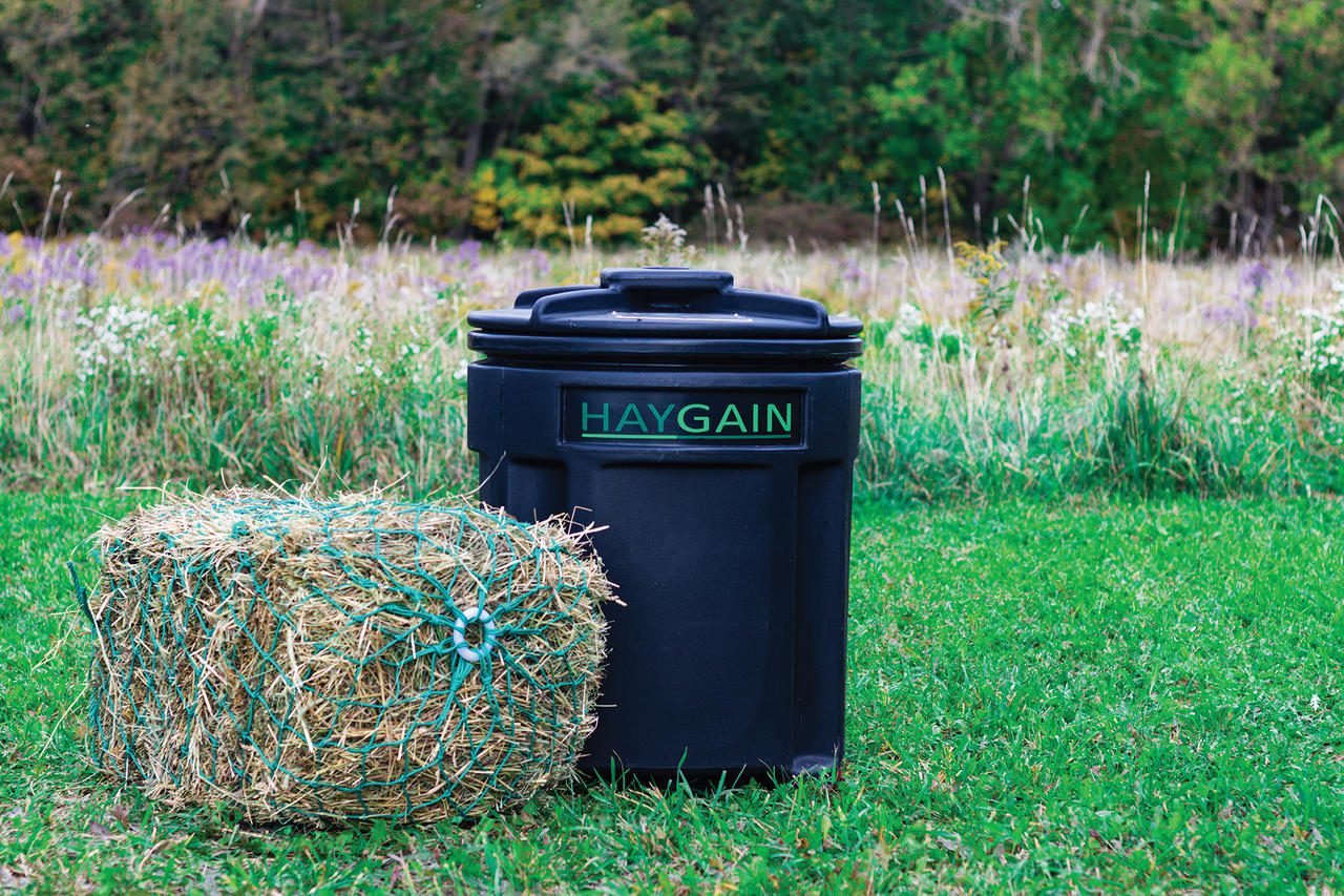HAYGAIN HG One Hay Steamer