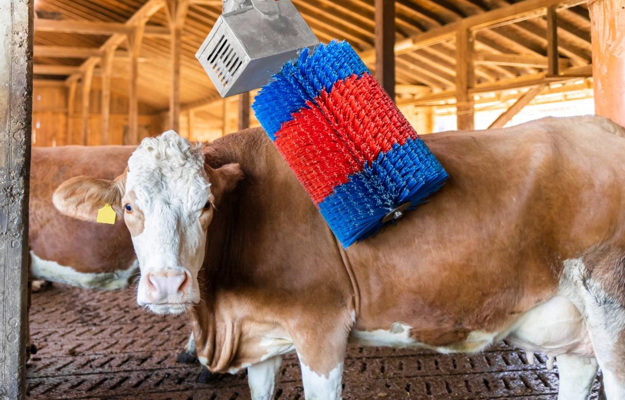 Kerbl Kuhputzmaschine HAPPYCOW MidiSwing