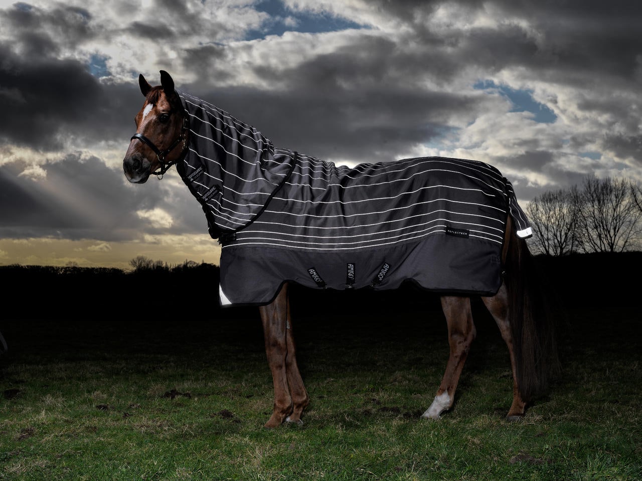 Horseware Coperta Amigo Bravo 12 Reflectech Plus