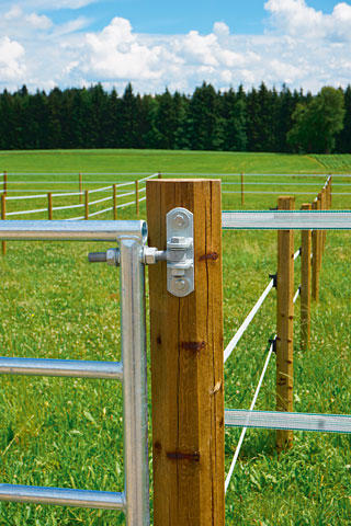 WAHL-FENCE Weidetor verstellbar - Standard - versch. Größen