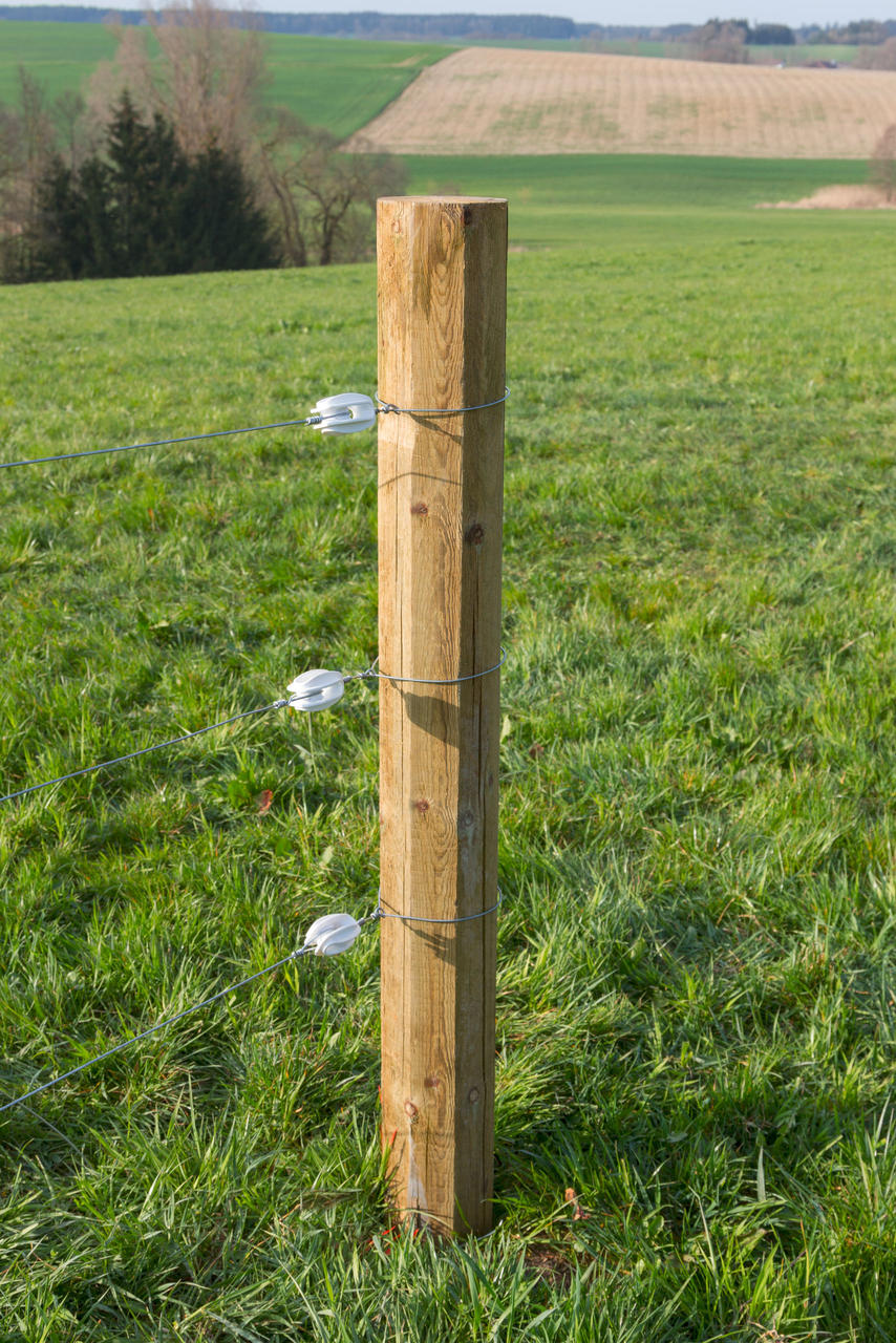 AKO isolatore per recinzione elettrica, resistente alla trazione, fibra di vetro – 10 pz