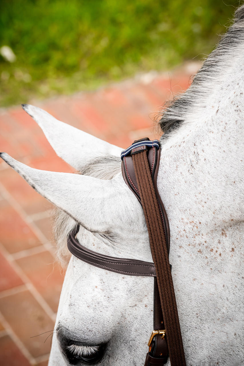 Horseware Briglia multiuso Micklem 2