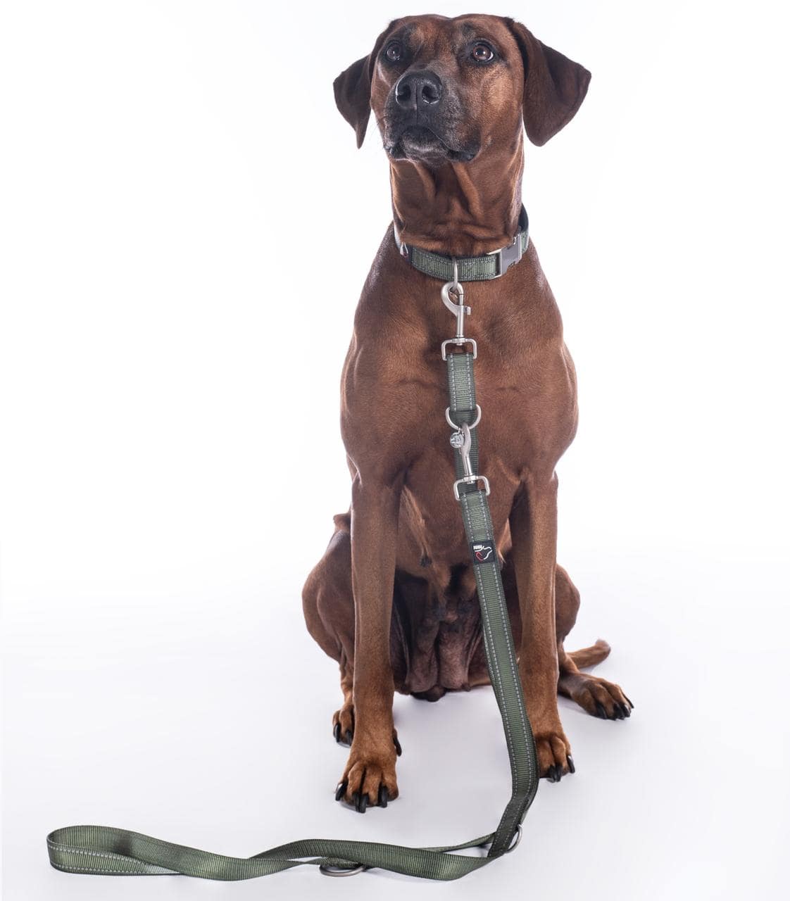 HKM Hundetrainingsleine - Anam Cara- Nylon