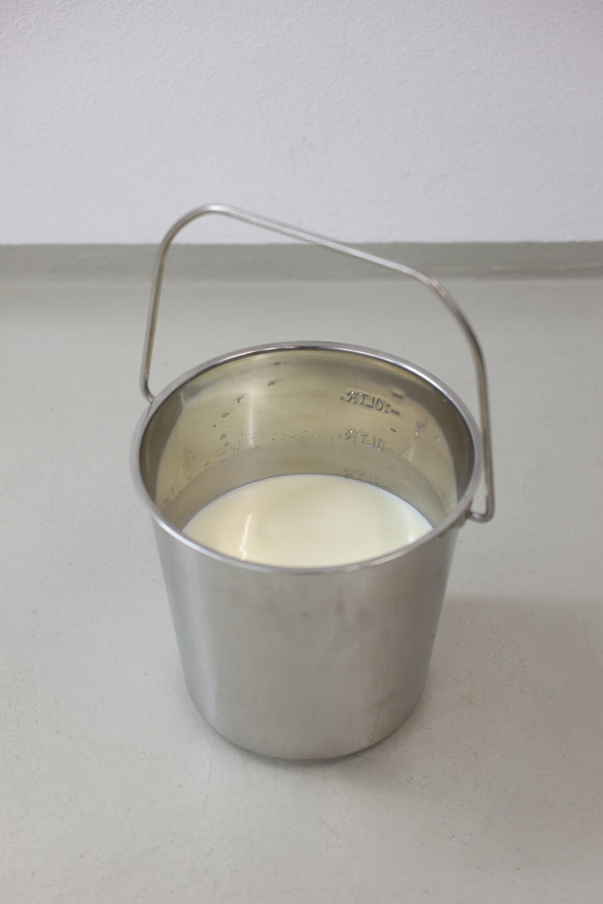 Kerbl Secchio in acciaio inox