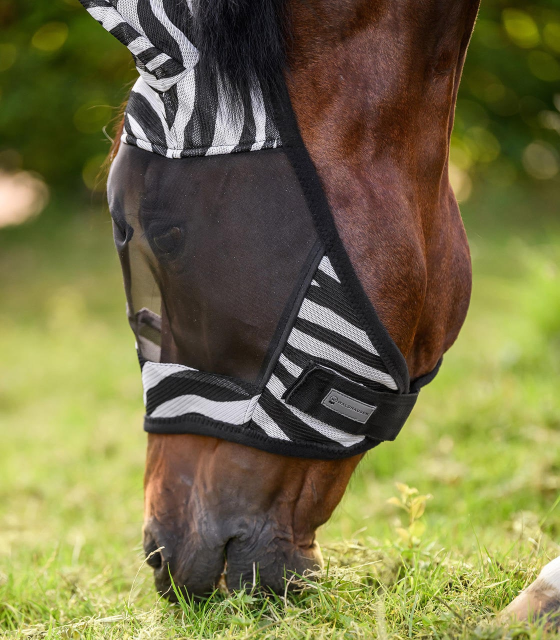 Waldhausen Maschera antimosche Zebra