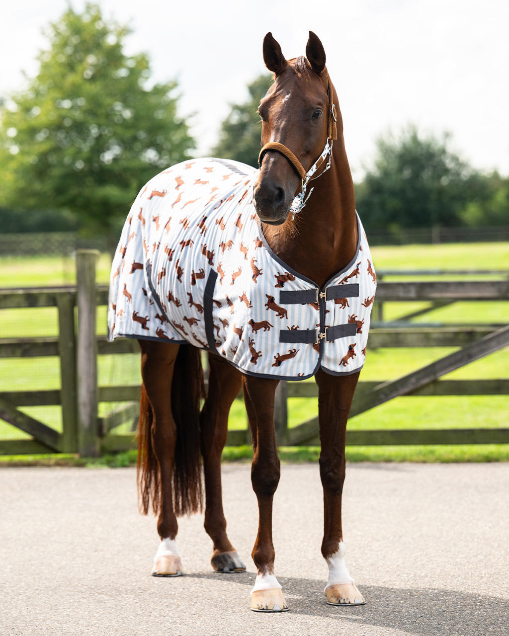 QHP Fleecedecke Stable Buddy