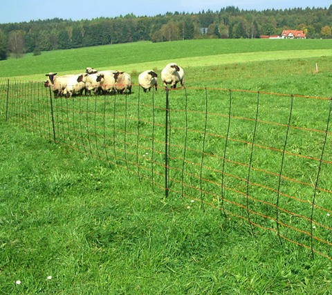 AKO TitanNet – rete per ovini, alta 90 cm