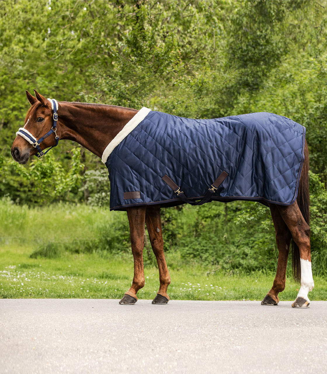 Waldhausen Coperta da trasporto Exclusive, 50 g Waldhausen Coperta da trasporto Exclusive, 50 g