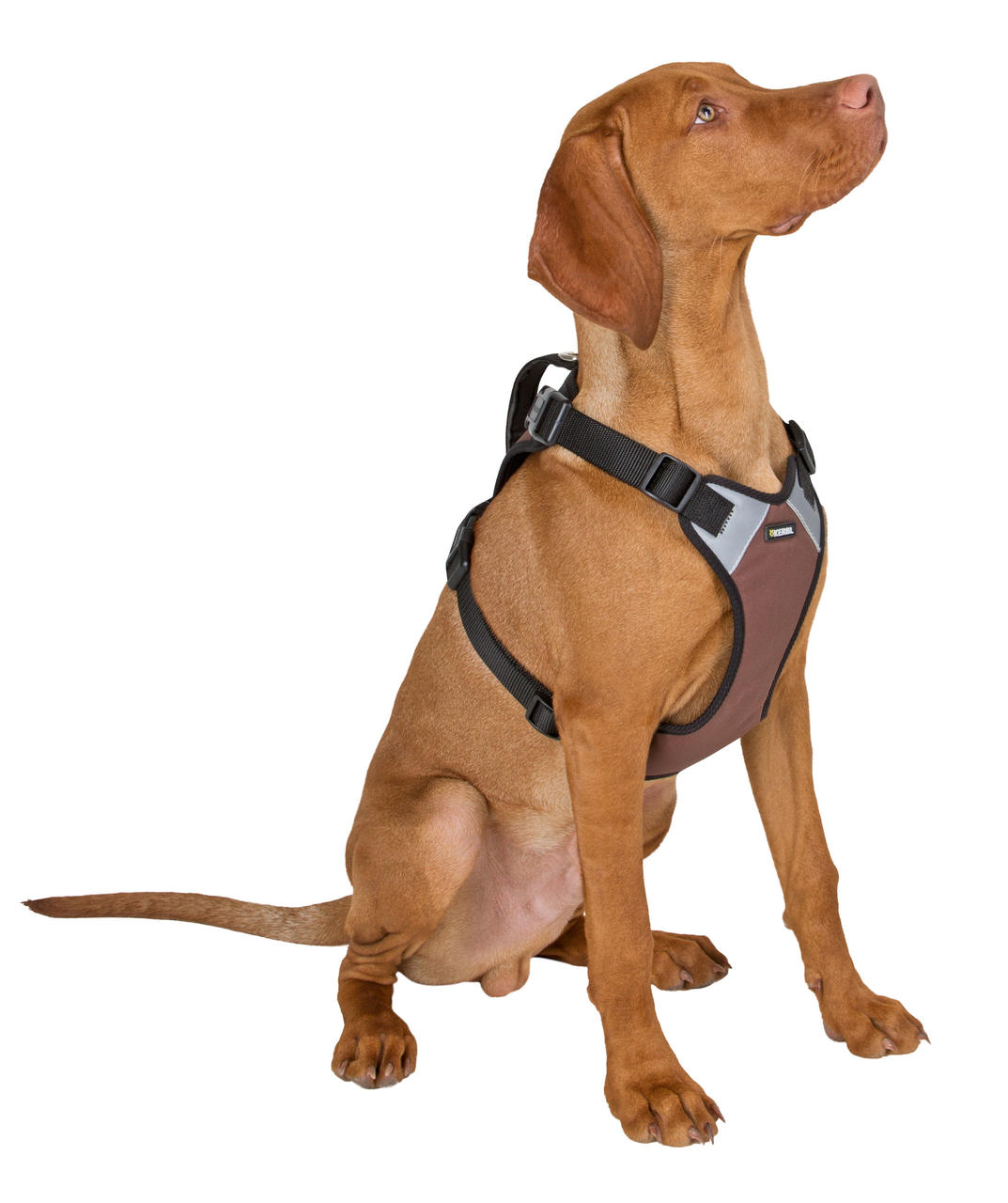 Kerbl Pettorina per cani a trazione pulsata
