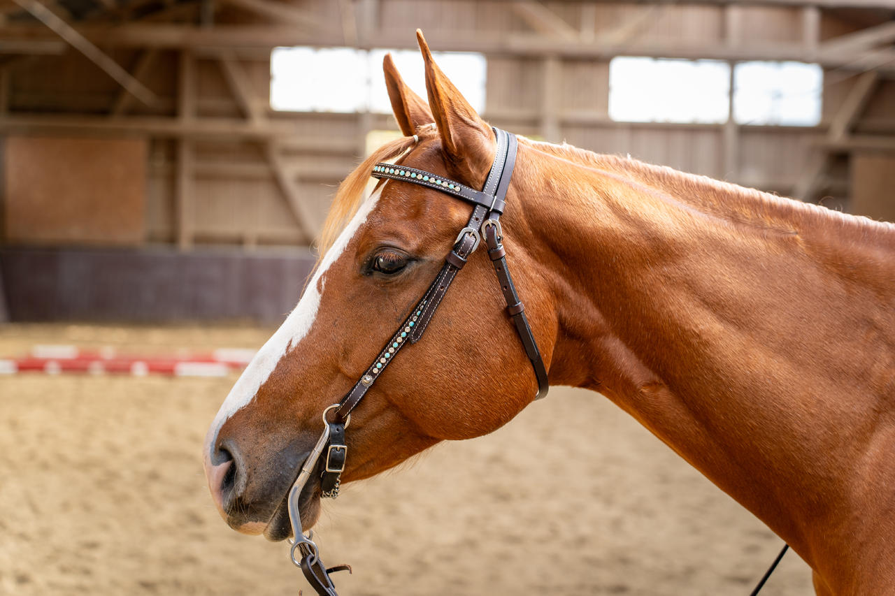 Briglia western snaffle Zuni