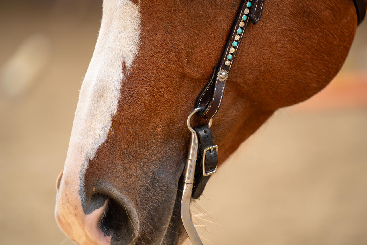 Briglia western snaffle Zuni