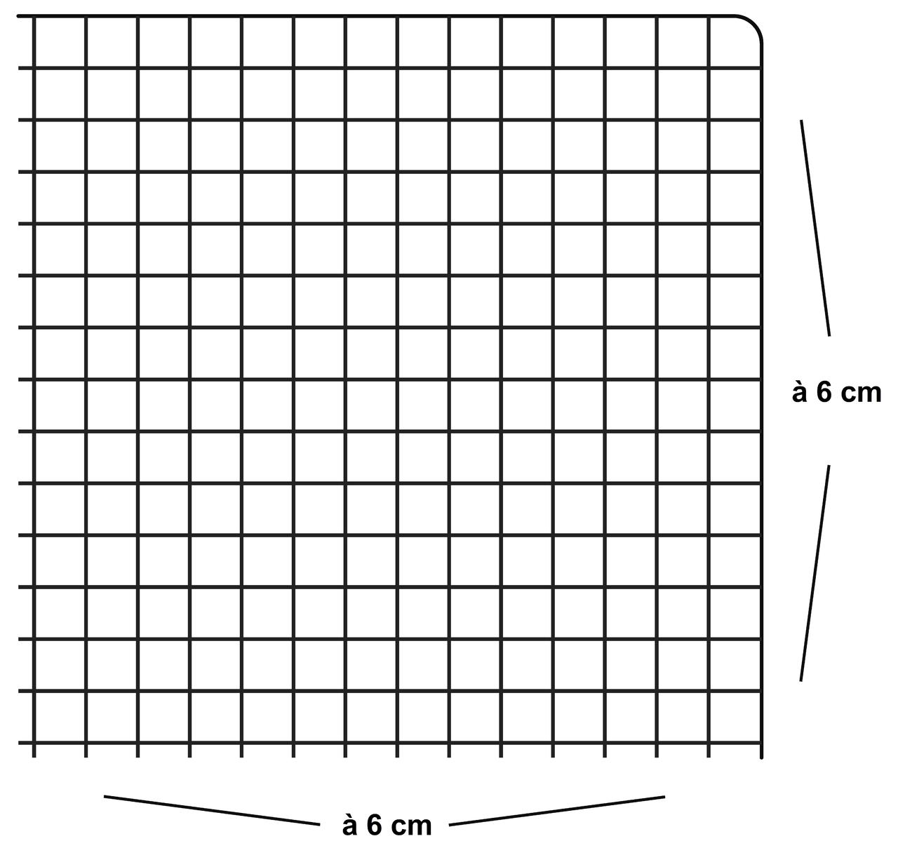 WAHL-FENCE Geflügelschutznetz 10 x 10 Meter
