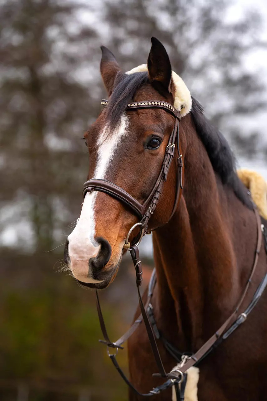 Lammfell Nasen- u. Genickpolster
