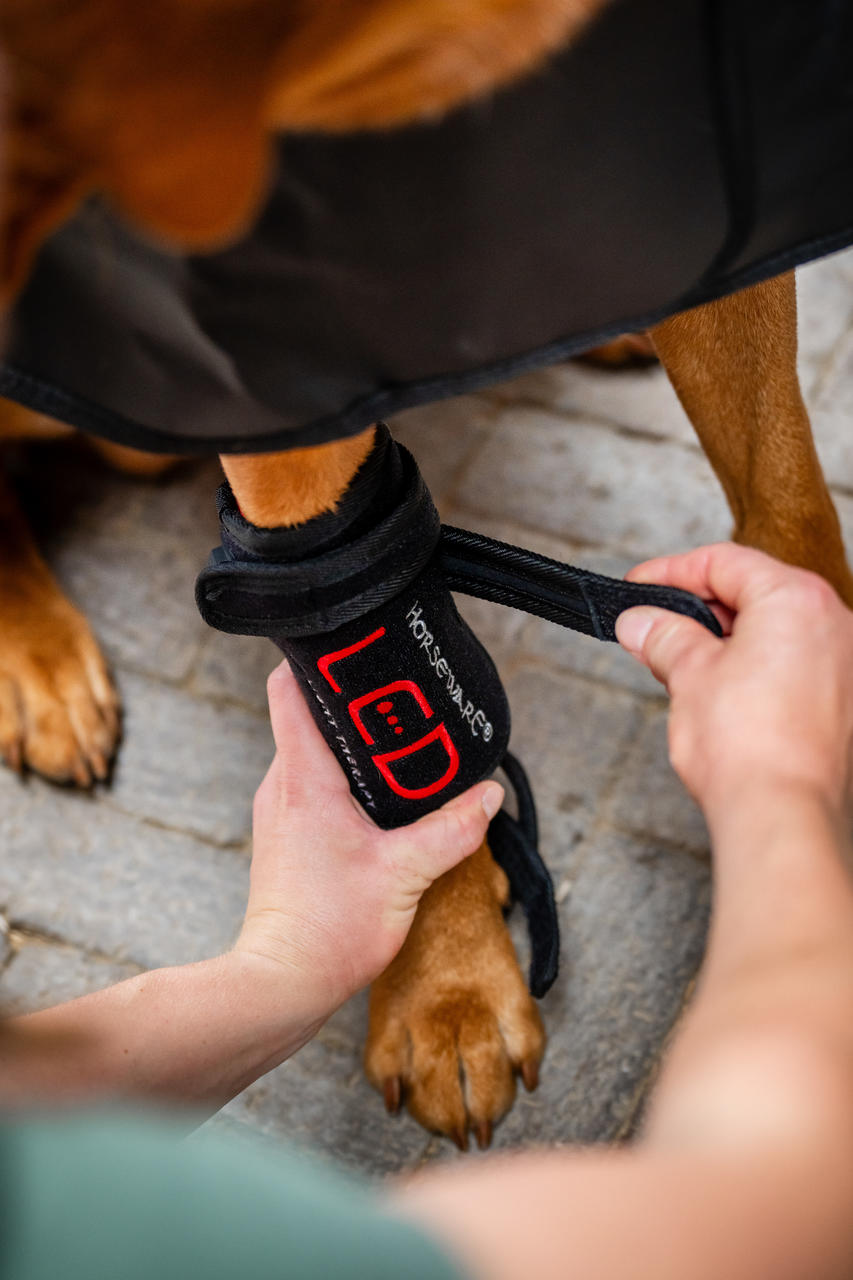 Horseware Avvolgimento per zampe di animali domestici con terapia a luce rossa Horseware Avvolgimento per zampe di animali domestici con terapia a luce rossa