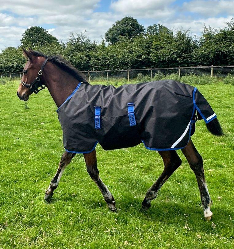 Horseware Amigo Ripstop 900D Foal Turnout 200g