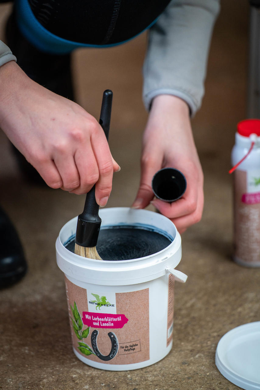 Ekkia Spazzola per zoccoli in plastica con cappuccio