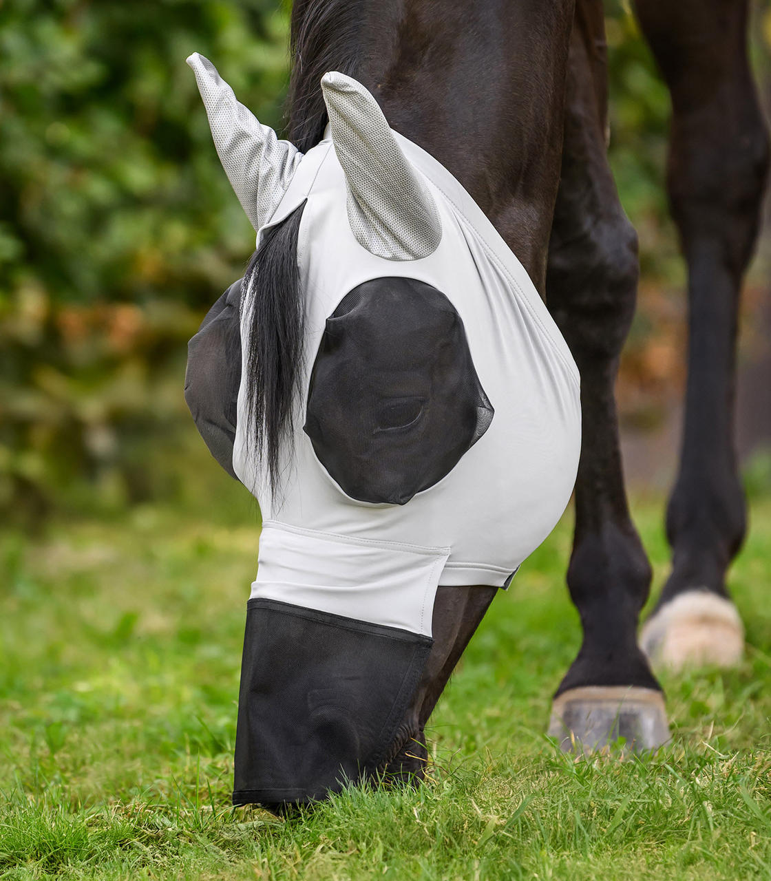 Waldhausen Maschera antimosche Puck con protezione nasale