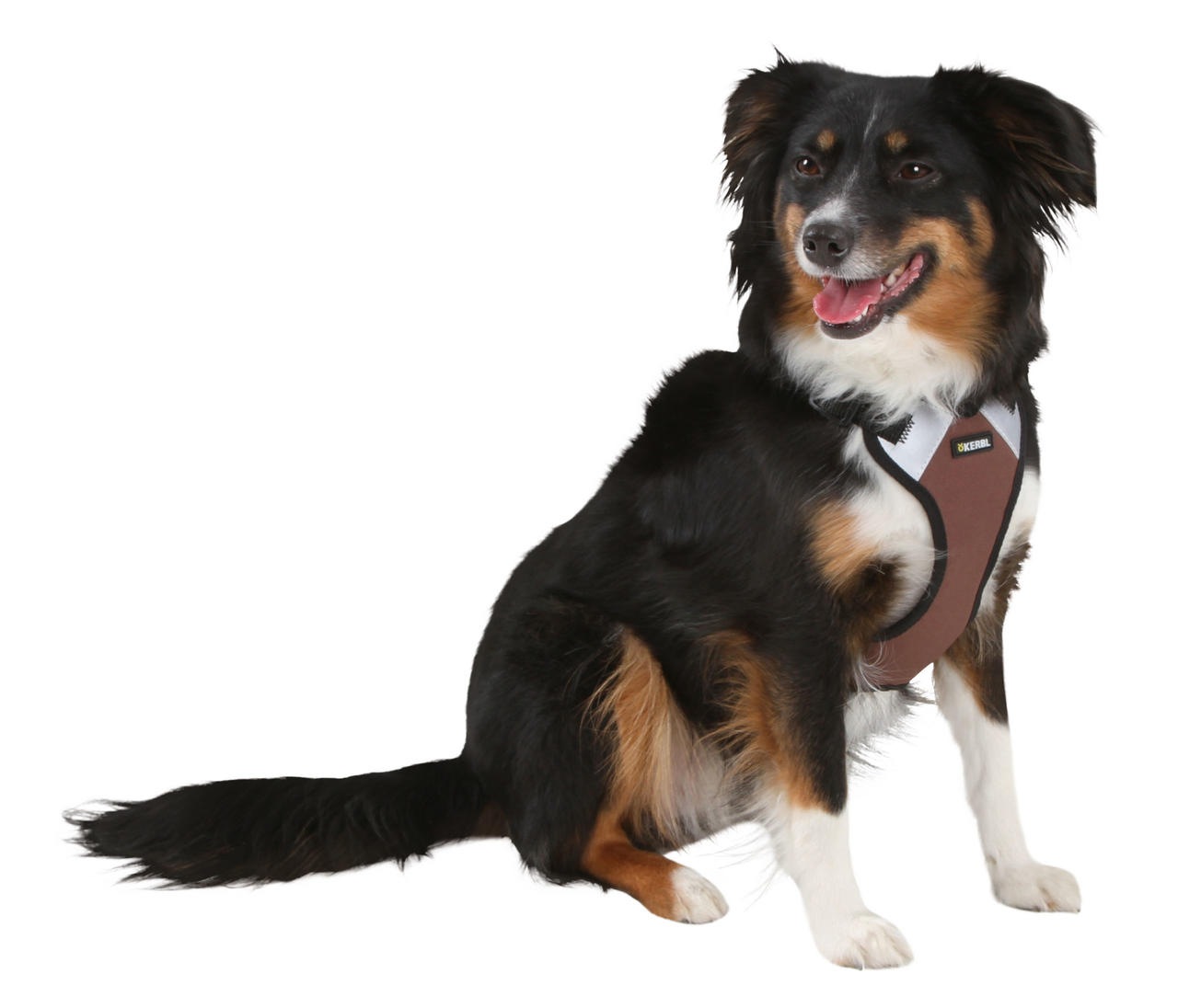 Kerbl Pettorina per cani a trazione pulsata