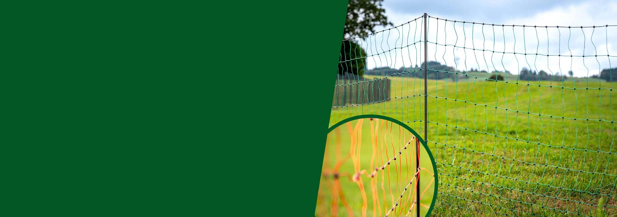 WAHLFence_Netze_desktop